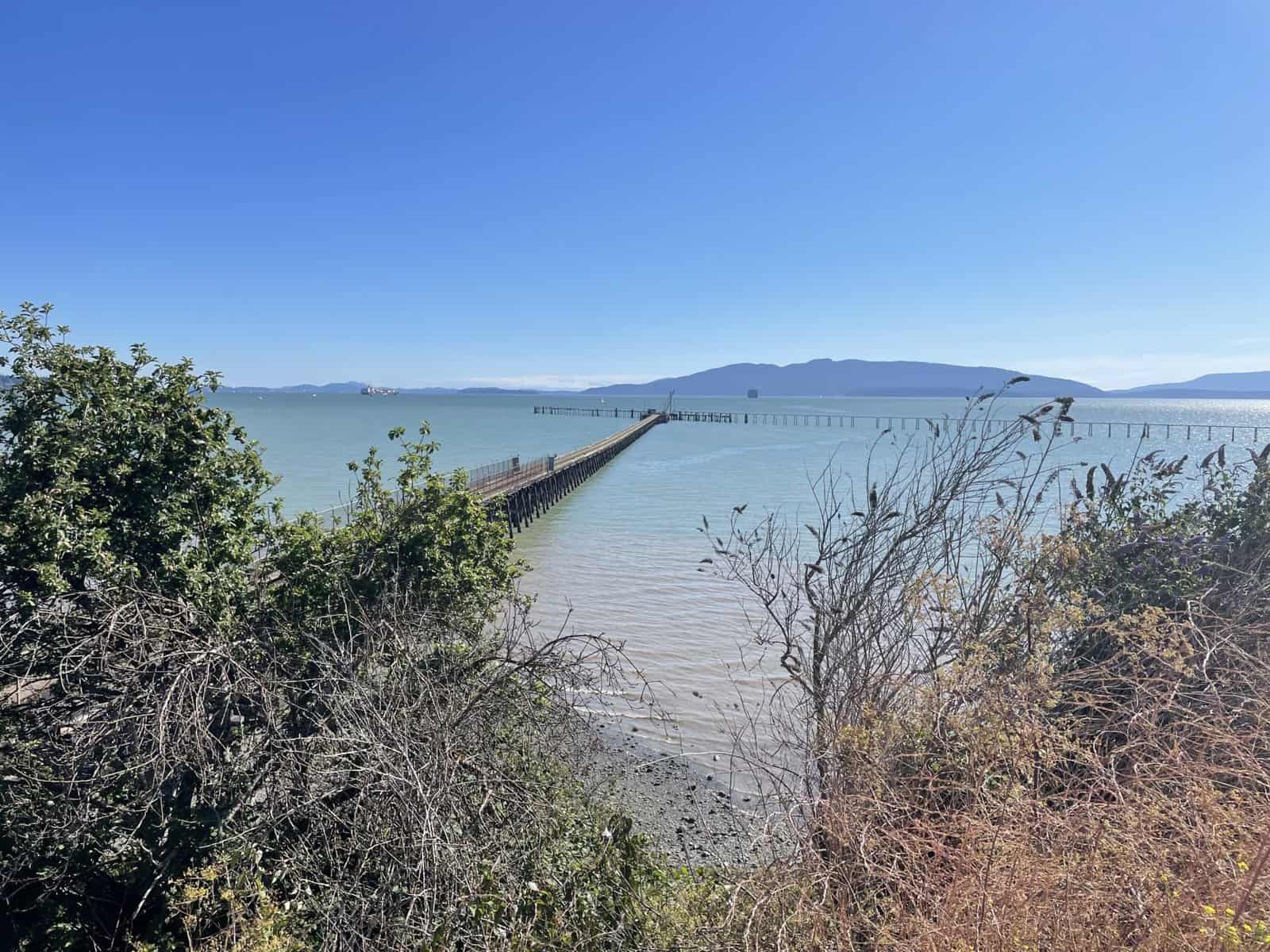 New Office Manager Bellingham Engineering Manager Roles